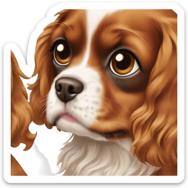 Cavalier King Charles Spaniel puppy all brown sticker