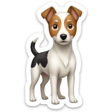 a full body large white parson russell looking dog the size of a kelpie with light brown ears and a light brown patch on one eye and a large snout sticker