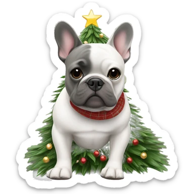 Grey French bulldog wearing Uggs in a Christmas tree sticker