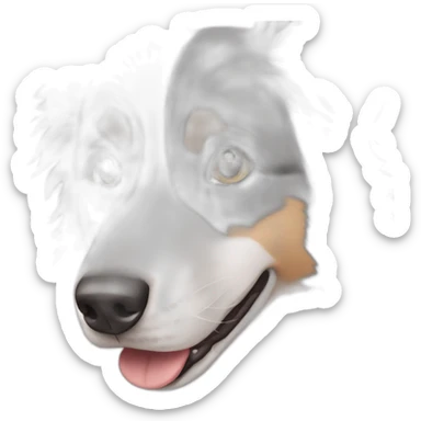 gray colour hair Border collie with Brown eyes sticker
