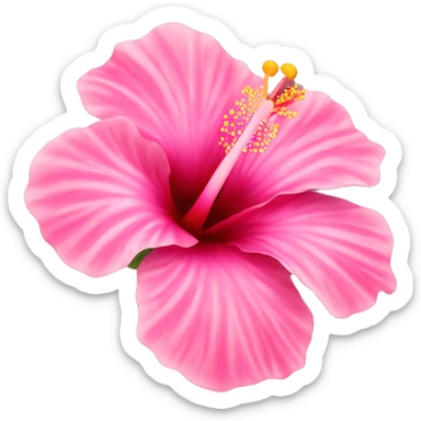 Pink hibiscus flower sticker