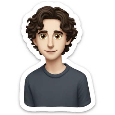 Timothee chalamet sticker