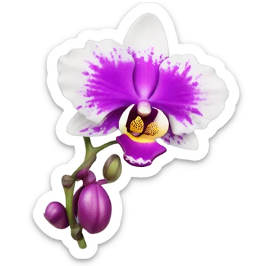 orchid flower sticker