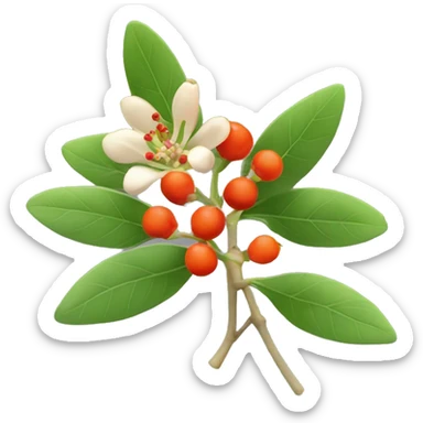 ashwagandha flowers with orange-red berries sticker