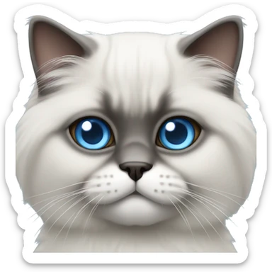 Himalayan cat grey and white with blue eyes sticker