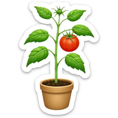 realistic tomato seedling sticker