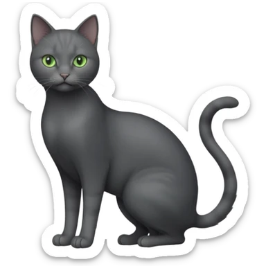 full body view of beautiful female solid dark grey cat with green eyes, grey face, white toes/paws and small white patch on her chest sticker