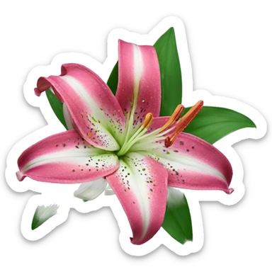 Stargazer lily sticker