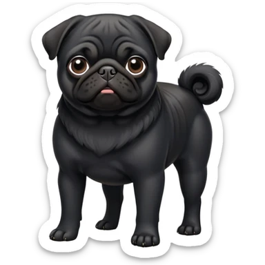 All black pug sticker