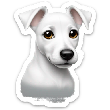 full size white jack russel puppy with a gray area around one eye sticker