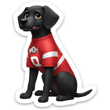 Black dog wearing Ohio state football jersey sticker