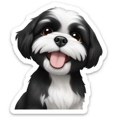 happy black and white shih tzu puppy and older black shi tzu brother sticker