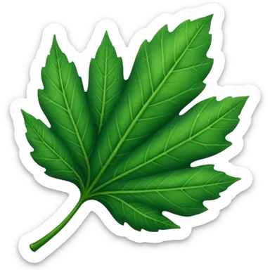 hoja fotografia sticker