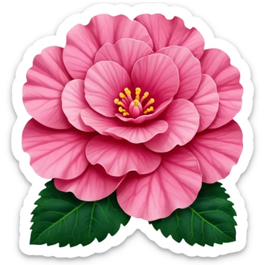 super realistic pink begonia sticker