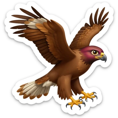 hawk sticker