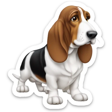 basset hound  sticker