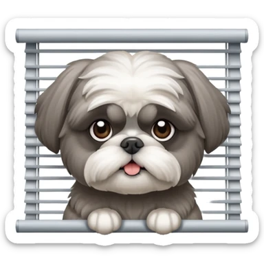 cute all grey shih tzu peeking through window blinds sticker