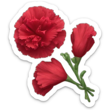 Crimson carnation flower sticker