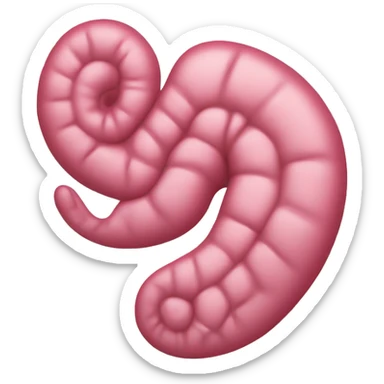 a human stomach with pinkish color.” sticker