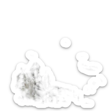 ville de Pau sticker