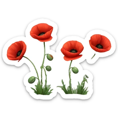 three red poppies with stems sticker