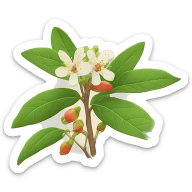 (style Apple Emoji) "ashwagandha with flower"  sticker