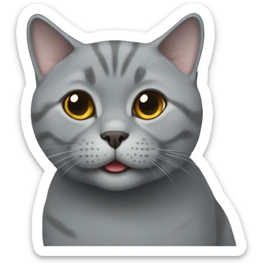 Grey British shorthair smiling sticker