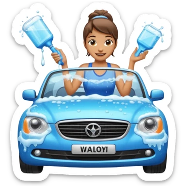 car washer woman with car  sticker
