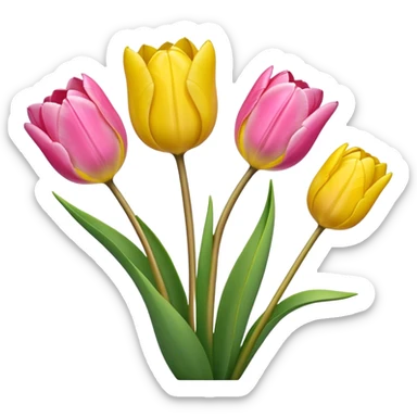 pink and yellow tulips sticker