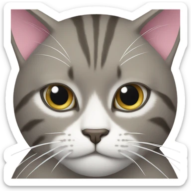 cat wearing nike pros sticker