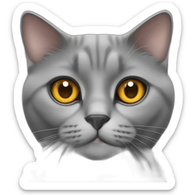 grey british cat with amber eyes sticker
