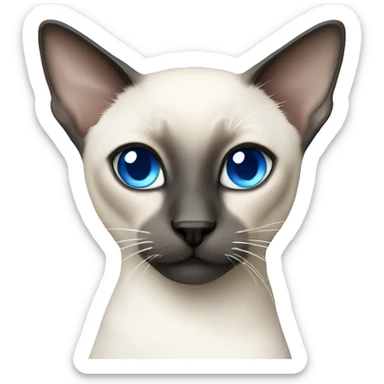 White Siamese with blue eyes sticker