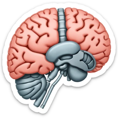 Brain xray sticker