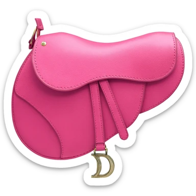 dior pink saddle bag sticker
