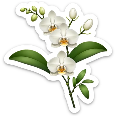 Single elegant orchid stem with several blooms on one stalk and a few green leaves at the base sticker