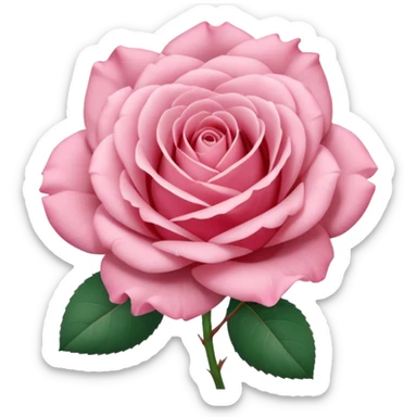 Polaroid photo of a pink rose  sticker