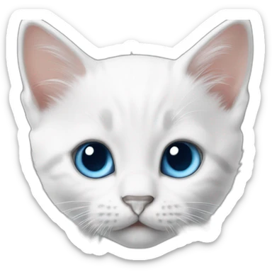 Kitten white whit blue eyes  sticker