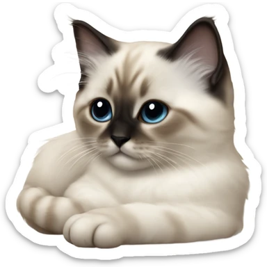 an entire birman kitten, small face, some spots of dark on the ears and middle of the face, laying down relaxed on a shoulder. sticker