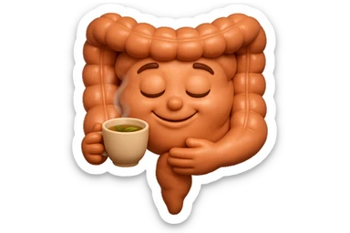 emoji stile iphone 3d di intestino umano sereno che si tocca la pancia mentre sorseggia un thè alle erbe, iperrealistico 4k sticker