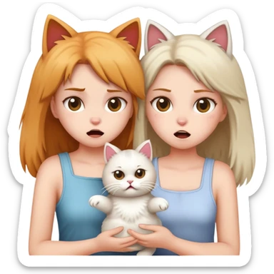 two girls arguing over holding a cat sticker