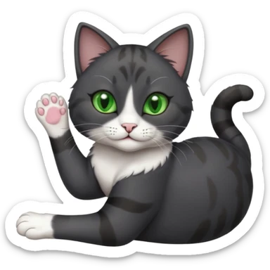 beautiful female solid dark grey cat with green eyes, white toes/paws and white patch on her chest playfully rolling upside down sticker