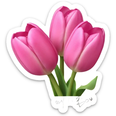 Pink tulips with a note saying for my boy sticker