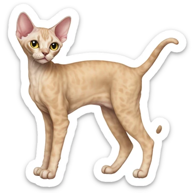 Devon Rex Full Body sticker