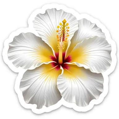 white hibiscus flower with yellow center sticker