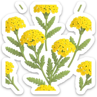 3D iOS emoji style, cartoonish and dimensional yellow yarrow flower, no anthropomorphic features, natural volume and color sticker