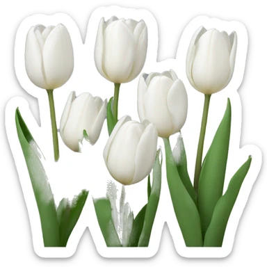 White tulips sticker
