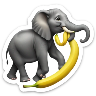 Girl riding an elephant eating a banana and the elephant trunk is trying to get the banana  sticker