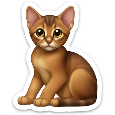 Abyssinian kitten sitting  sticker