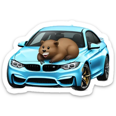 A beaver Driving a Yas marina blue BMW M4 sticker
