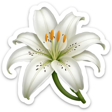 lilium sticker